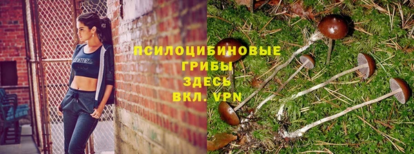 таблы Кинешма