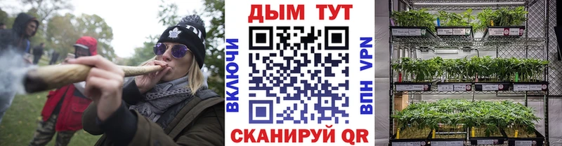Бошки марихуана индика  Купить закладки  Добрянка 